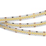 Лента светодиодная RT 2-5000 24V Cool 8K 10mm (2835, 252 LED/m, LUX) (Arlight, 10 Вт/м, IP20)