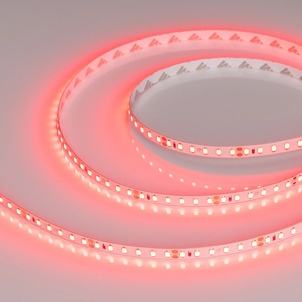 Лента светодиодная RT-A120-8mm 24V Red (9.6 W/m, IP20, 2835, 5m) (Arlight, 9.6 Вт/м, IP20)