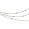 Лента светодиодная NT-A60-8mm 12V Warm3000 (4.8 W/m, IP20, 3528, 5m) (Arlight, Открытый)