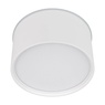 Светильник SP-CYLINDO-R160-18W Day4000 (WH, 110 deg, 230V) (Arlight, IP54 Металл, 3 года)