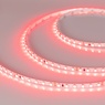 Лента светодиодная RT-A120-5mm 24V Red (9.6 W/m, IP20, 2835, 5m) (Arlight, 9.6 Вт/м, IP20)