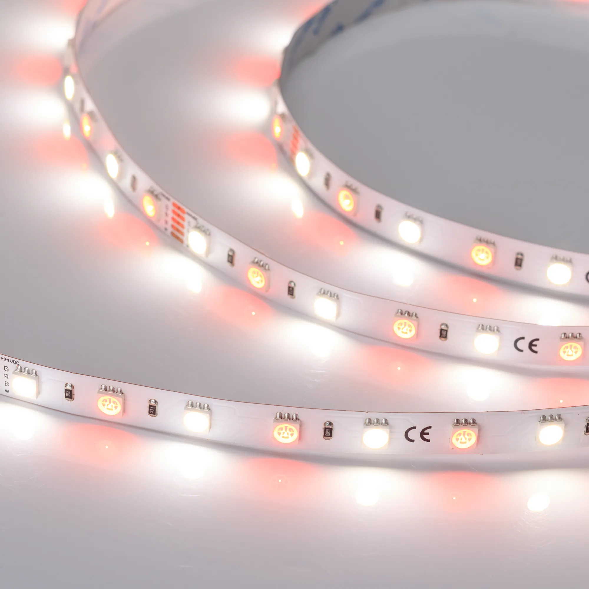 Лента RT-B60-10mm 24V RGBW-Day (14.4 W/m, IP20, 5m) (Arlight, Открытый) - изображение товара