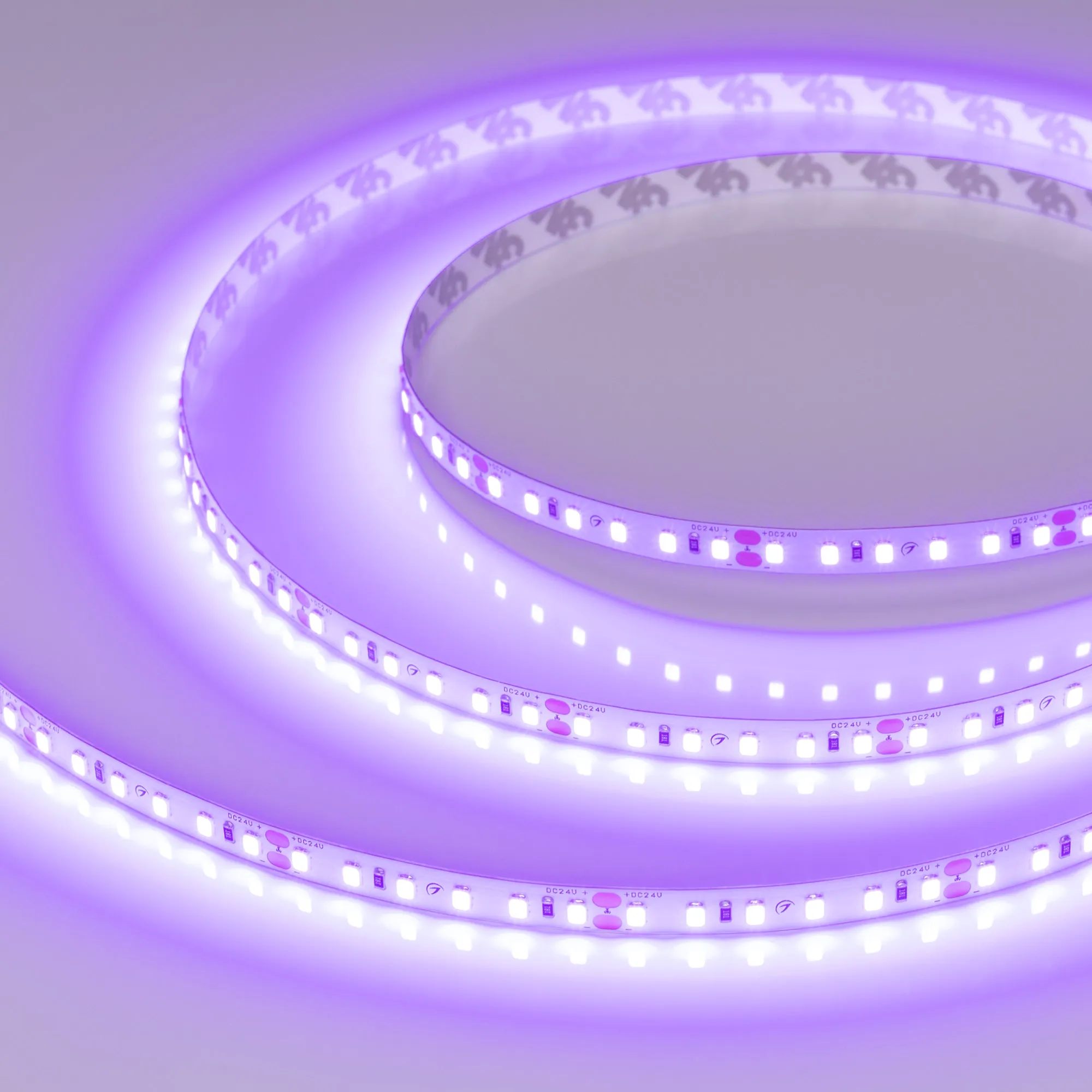 Лента светодиодная RT-A120-8mm 24V Violet (9.6 W/m, IP20, 2835, 5m) (Arlight, -)