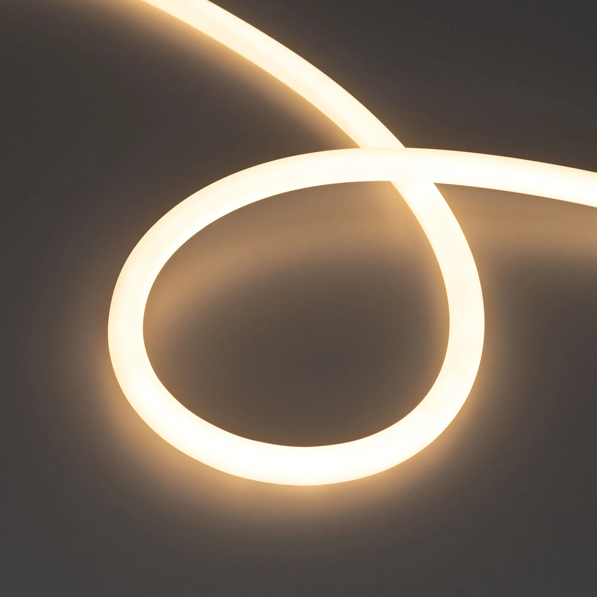 Лента светодиодная герметичная MOONLIGHT-TOP-M560-D13mm 24V Warm3000 360deg (8.6 W/m, IP65, 5m, wire x1) (Arlight, Вывод прямой, 3 года) - изображение товара
