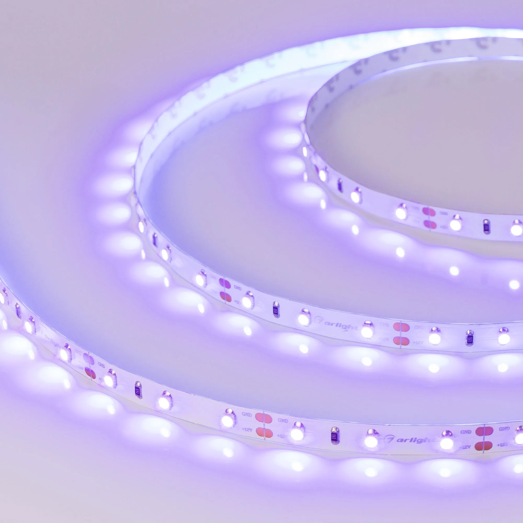 Лента светодиодная RT-A60-8mm 12V UV400 (4.8 W/m, IP20, 2835, 5m) (Arlight, Открытый) - изображение товара